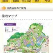 ヒメ日記 2026/05/06 09:52 投稿 神谷【かみや】 丸妻 西船橋店
