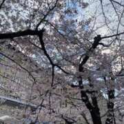 ヒメ日記 2025/04/06 23:46 投稿 りおな 京都の痴女鉄道