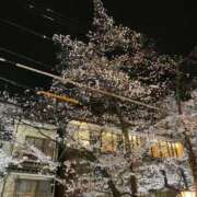 ヒメ日記 2026/04/03 10:06 投稿 りおな 京都の痴女鉄道