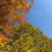 ヒメ日記 2025/11/26 18:01 投稿 凪乃　なの（27） 出会い系人妻ネットワーク 熊谷編