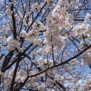 ヒメ日記 2025/04/21 23:20 投稿 紗英子(サエコ) グランドオペラ名古屋