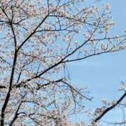 ヒメ日記 2025/04/10 19:03 投稿 さわ クラブレア南大阪