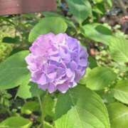 ヒメ日記 2025/06/25 18:03 投稿 さわ クラブレア南大阪