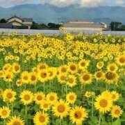 ヒメ日記 2025/09/02 19:12 投稿 さわ クラブレア南大阪