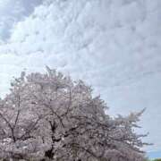 ヒメ日記 2026/04/06 16:40 投稿 さわ クラブレア南大阪