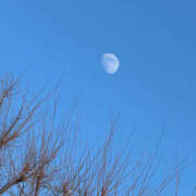 ヒメ日記 2025/01/11 12:15 投稿 しほり ハピネス東京 吉原店