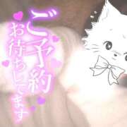 ヒメ日記 2025/12/05 23:26 投稿 しほり ハピネス東京 吉原店