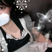 ヒメ日記 2024/12/21 17:36 投稿 ゆず 11チャンネル