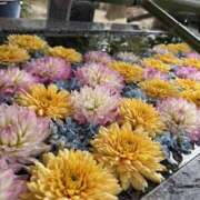 ヒメ日記 2026/02/10 20:05 投稿 あいり PINK PLANET