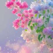 ヒメ日記 2025/07/16 11:01 投稿 まほ レンタDEピンサロ 錦糸町店