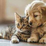 ヒメ日記 2025/07/29 10:57 投稿 まほ レンタDEピンサロ 錦糸町店