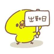 ヒメ日記 2026/03/20 10:34 投稿 まほ レンタDEピンサロ 錦糸町店