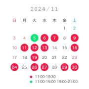 ヒメ日記 2024/10/27 10:51 投稿 桔梗(ききょう） EXE（エグゼ）