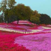 ヒメ日記 2024/12/07 06:13 投稿 リリア ミセスコレクション