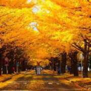 ヒメ日記 2024/12/07 18:03 投稿 リリア ミセスコレクション