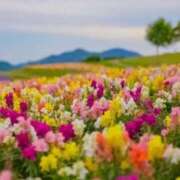 ヒメ日記 2024/12/08 06:13 投稿 リリア ミセスコレクション