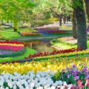 ヒメ日記 2024/12/10 05:33 投稿 リリア ミセスコレクション