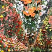 ヒメ日記 2024/12/13 05:53 投稿 リリア ミセスコレクション