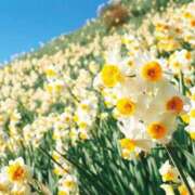 ヒメ日記 2024/12/14 05:43 投稿 リリア ミセスコレクション