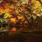 ヒメ日記 2024/12/14 17:23 投稿 リリア ミセスコレクション