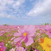 ヒメ日記 2024/12/18 06:13 投稿 リリア ミセスコレクション