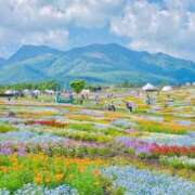 ヒメ日記 2024/12/19 06:13 投稿 リリア ミセスコレクション