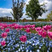 ヒメ日記 2024/12/20 06:13 投稿 リリア ミセスコレクション