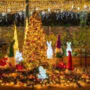 ヒメ日記 2024/12/23 06:53 投稿 リリア ミセスコレクション