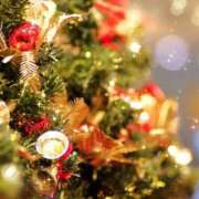 ヒメ日記 2024/12/24 06:23 投稿 リリア ミセスコレクション