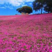 ヒメ日記 2024/12/26 06:03 投稿 リリア ミセスコレクション