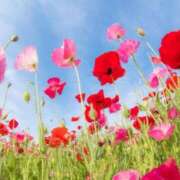 ヒメ日記 2024/12/27 05:53 投稿 リリア ミセスコレクション