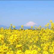 ヒメ日記 2024/12/29 06:23 投稿 リリア ミセスコレクション