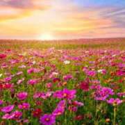 ヒメ日記 2024/12/30 05:53 投稿 リリア ミセスコレクション