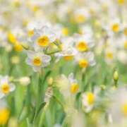 ヒメ日記 2025/01/02 06:13 投稿 リリア ミセスコレクション