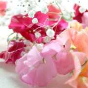 ヒメ日記 2025/01/06 06:13 投稿 リリア ミセスコレクション