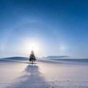 ヒメ日記 2025/01/10 05:43 投稿 リリア ミセスコレクション