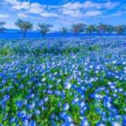 ヒメ日記 2025/01/12 05:53 投稿 リリア ミセスコレクション