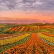 ヒメ日記 2025/01/14 06:13 投稿 リリア ミセスコレクション