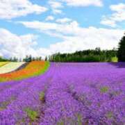 ヒメ日記 2025/01/15 05:23 投稿 リリア ミセスコレクション