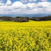 ヒメ日記 2025/01/17 06:13 投稿 リリア ミセスコレクション