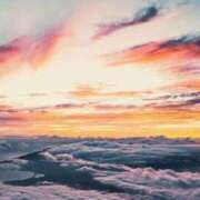 ヒメ日記 2025/01/20 05:53 投稿 リリア ミセスコレクション