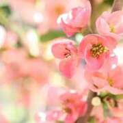 ヒメ日記 2025/01/21 05:33 投稿 リリア ミセスコレクション