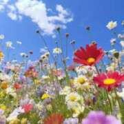 ヒメ日記 2025/01/26 05:23 投稿 リリア ミセスコレクション