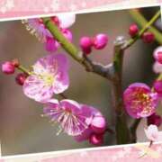 ヒメ日記 2025/02/27 16:56 投稿 リリア ミセスコレクション