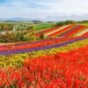 ヒメ日記 2025/03/02 05:53 投稿 リリア ミセスコレクション