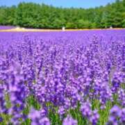 ヒメ日記 2025/03/03 05:44 投稿 リリア ミセスコレクション