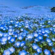 ヒメ日記 2025/03/04 05:54 投稿 リリア ミセスコレクション