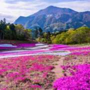 ヒメ日記 2025/03/05 05:46 投稿 リリア ミセスコレクション