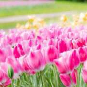 ヒメ日記 2025/03/06 05:53 投稿 リリア ミセスコレクション