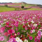 ヒメ日記 2025/03/07 05:43 投稿 リリア ミセスコレクション